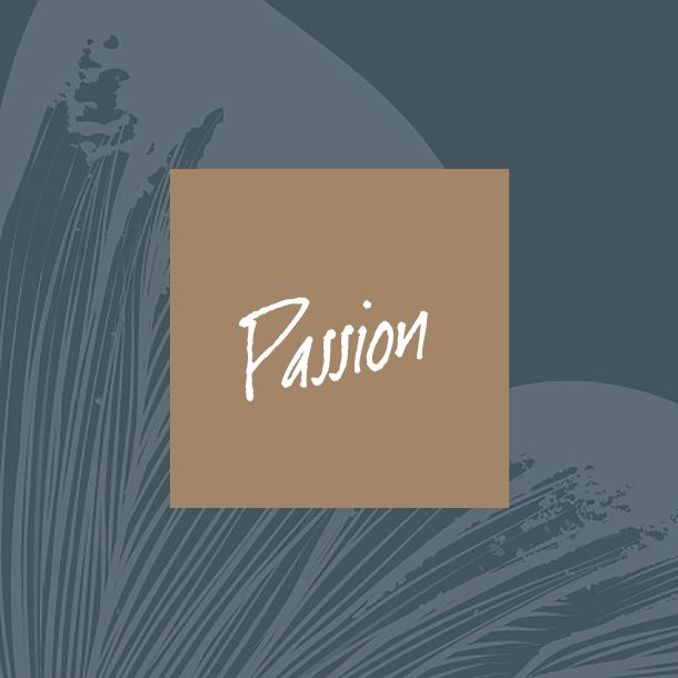 passion-9-1.jpg