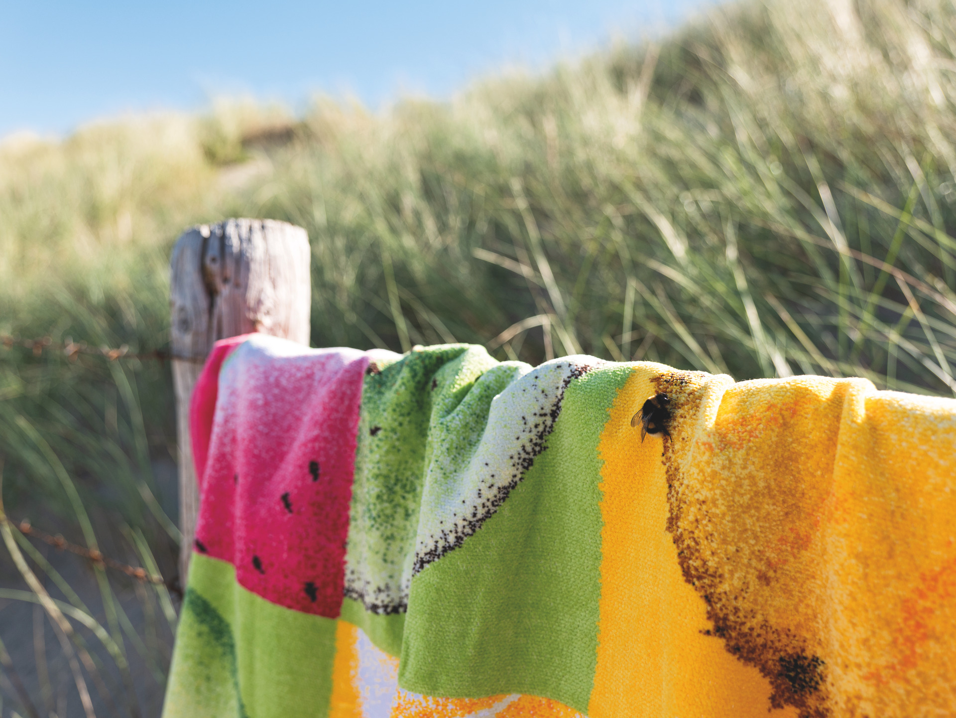 Farbenfrohes Luxus-Chenille-Handtuch am Strand – Luxuriöses FEILER Handtuch der Kollektion FRUITS als Lifestyleaufnahme aus Original FEILER-Chenille, Made in Germany.