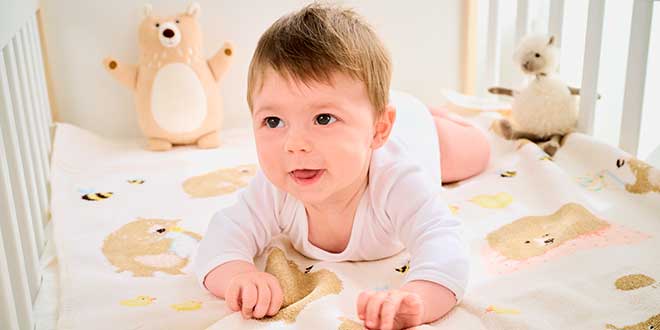 Kategorieheader mit FEILER Babydecken